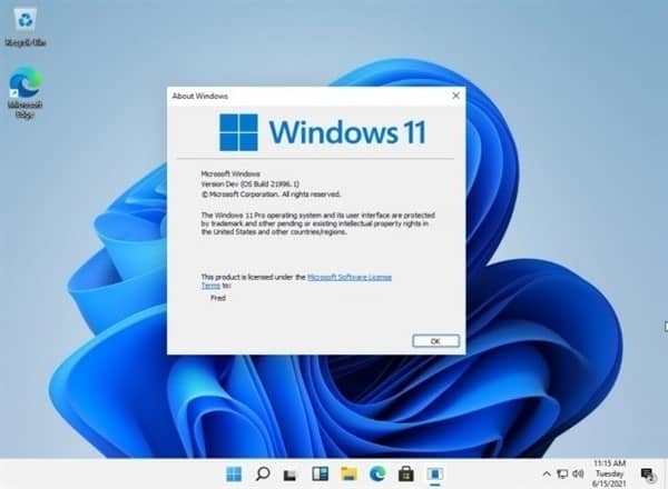 Windows 11ϵy(tng)΢ܛ2025Win 10fҊ