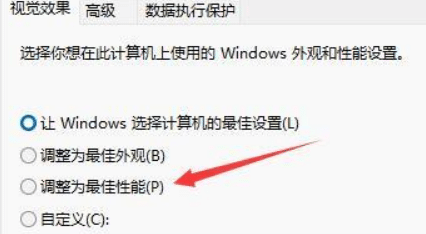 XWin11Dôkwindows11D