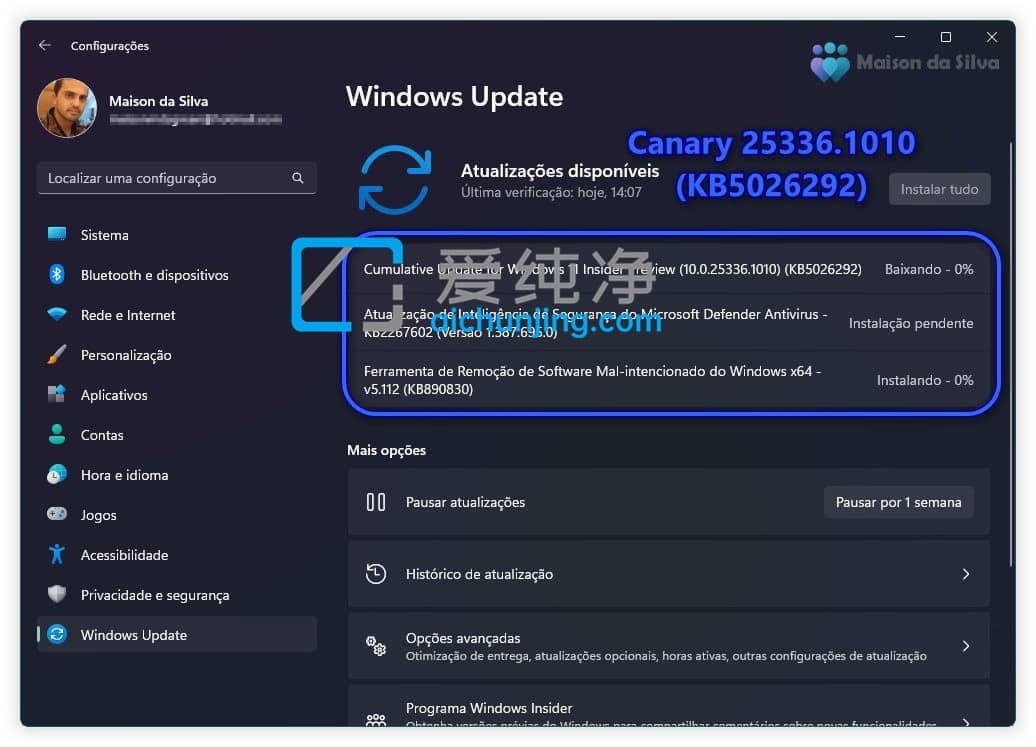 Win11 Canary Build 25336.1010 A(y)[棺Ho