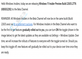 Win11 Beta A[ Build 22635.2776 l(f)M Windows Ink Teams ø