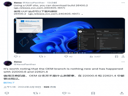 Win11OEM֧汾26100.2