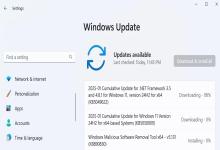 Win11ϵy(tng)@ 2025 ׂ۷e£ޏ BUG(yu)w